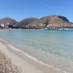 Flh - Gorgonia * Mondello